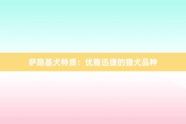 萨路基犬特质：优雅迅捷的猎犬品种