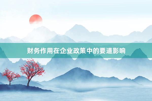 财务作用在企业政策中的要道影响
